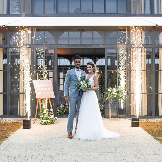 étincelles froides à Vulaines-sur-Seine près de Fontainebleau en Seine-et-Marne 77